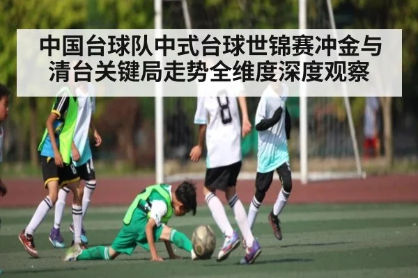中国台球队中式台球世锦赛冲金与清台关键局走势全维度深度观察